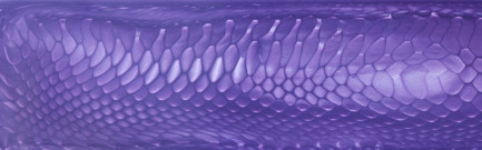 JUMA Purple Dragon